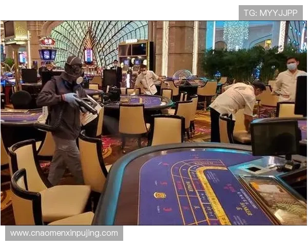 葡京娱乐场全面解析:如何选择最安全可靠的线上娱乐平台